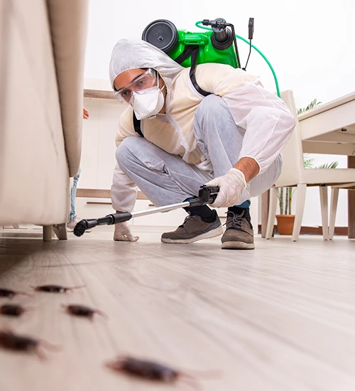 pestcontrolservicesinbakersfield.webp
