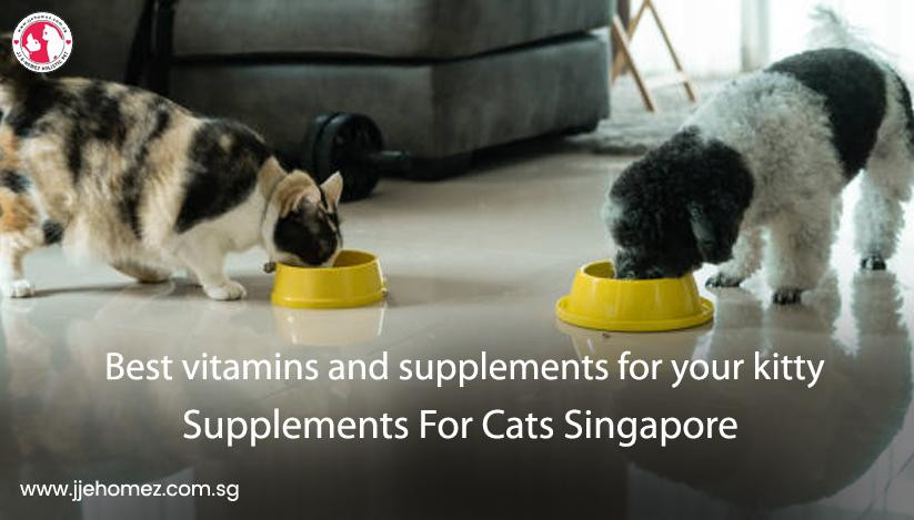 supplementsforcatssingapore1.JPG