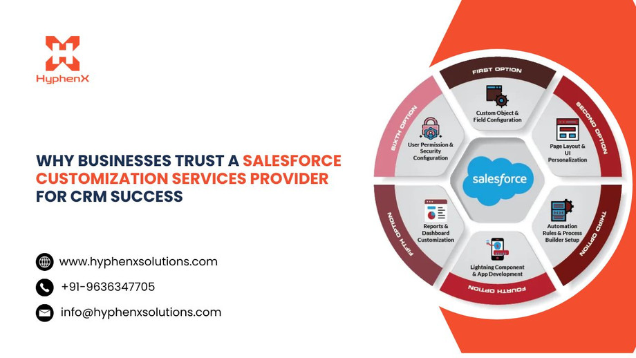 whybusinessestrustasalesforcecustomizationservicesproviderforcrmsuccess.jpg