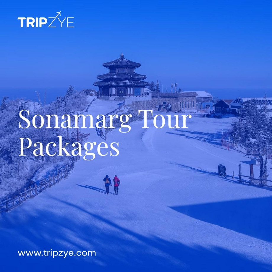 sonamargtourpackages2min.jpg