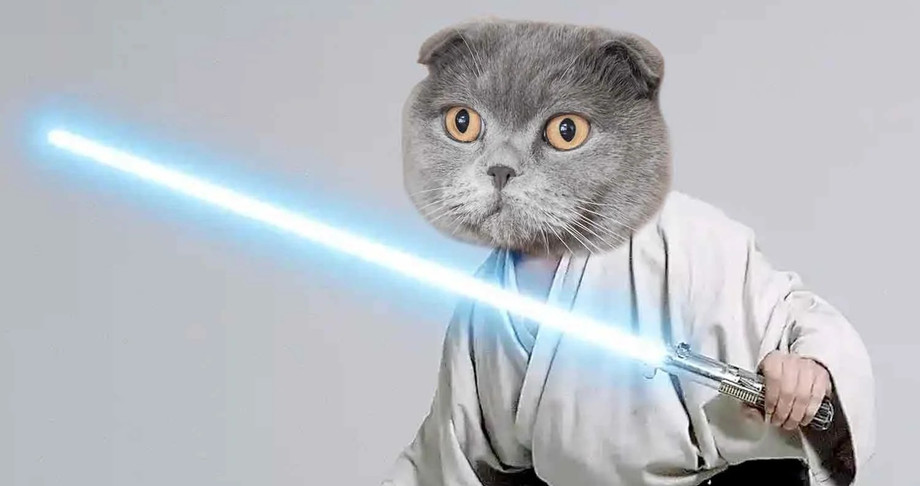 imgi_3_starwarscatnames1.jpeg