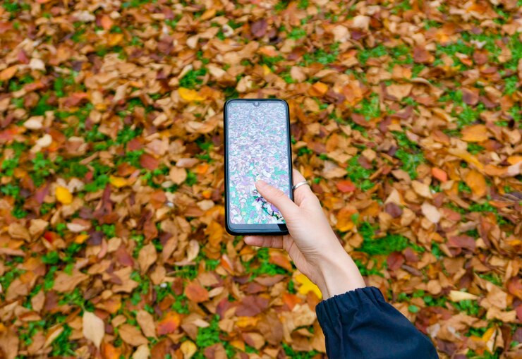 smartphonescreenwithhandbackgroundyellowautumnleavesparkusingsmartphoneinternetoutsidehousenatureforest_903801809.jpg