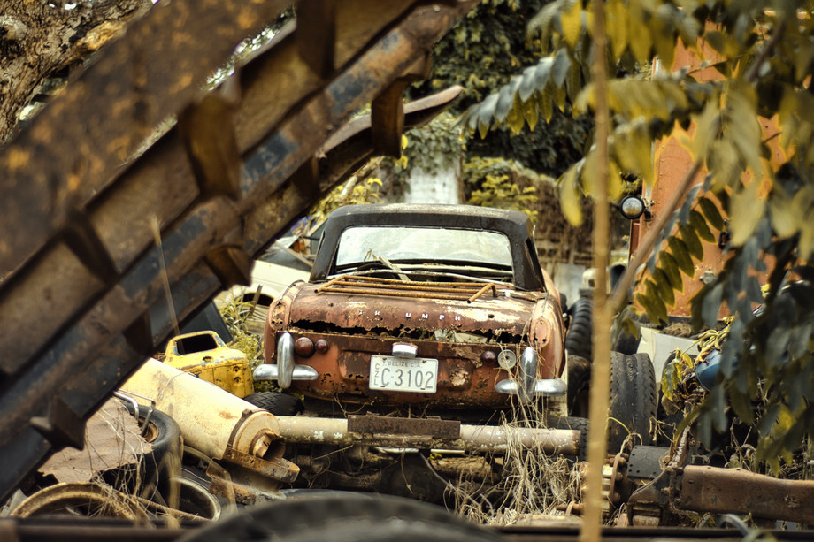 ronaldplettcar7690681.jpg