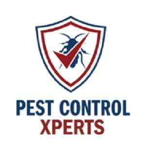 logo.jpg