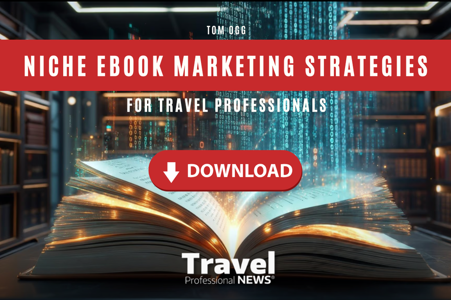 freeebooknicheebookmarketingstrategiesfortravelprofessionals.png