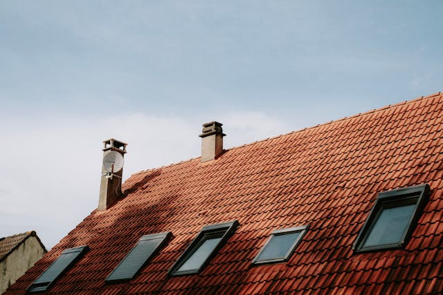 pexelsmatreding11912130.jpg