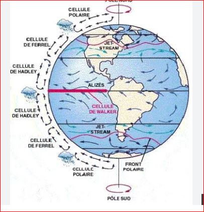06.JPG