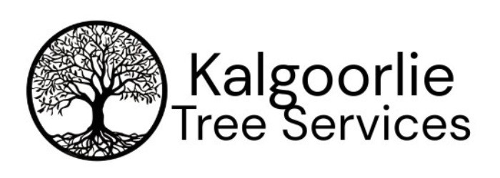 Alt Tag Alt Tag