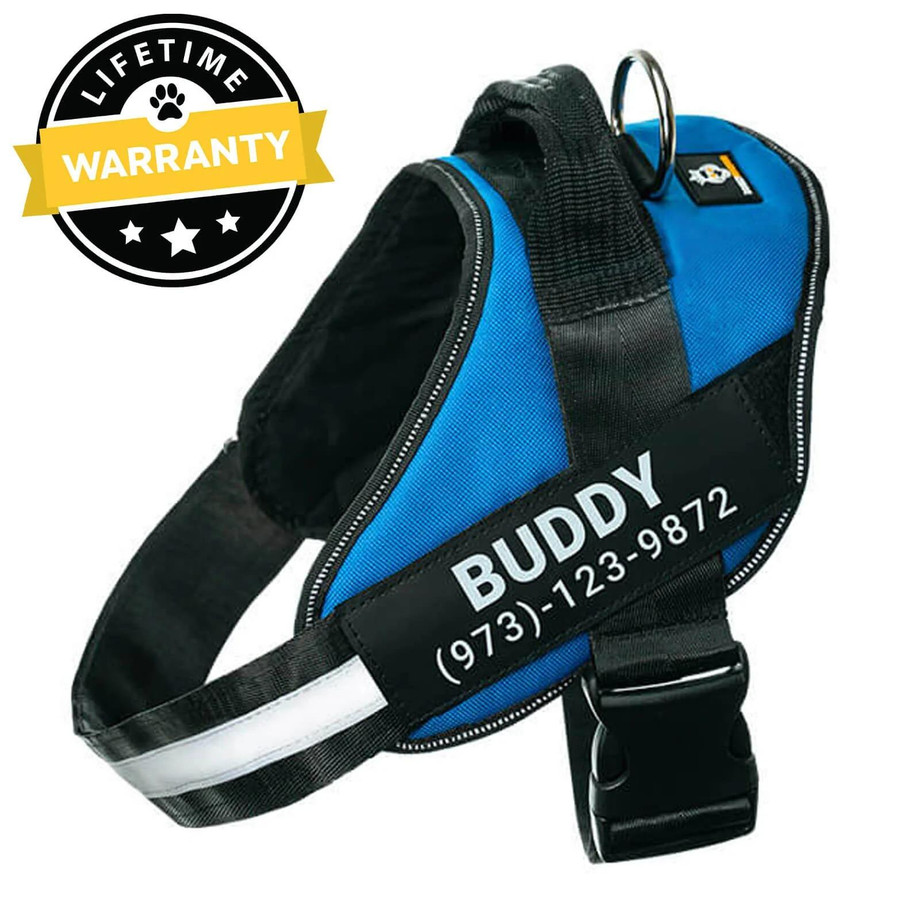 doggykingdom_personalized_dog_harness_blue.jpeg