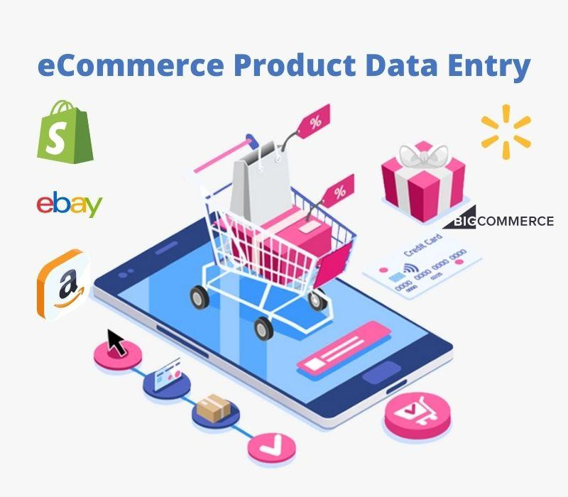 ecommerceproductdataentry1.jpg