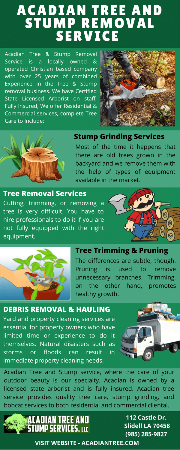 acadiantreeandstumpremovalservice21.png