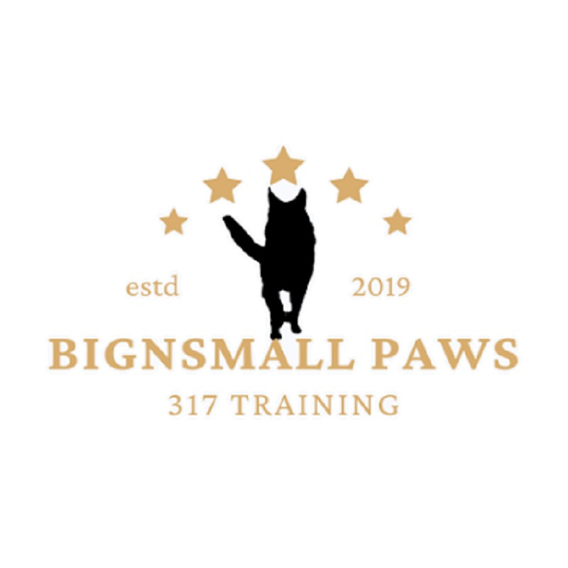 bignsmallpaws317logo.jpg
