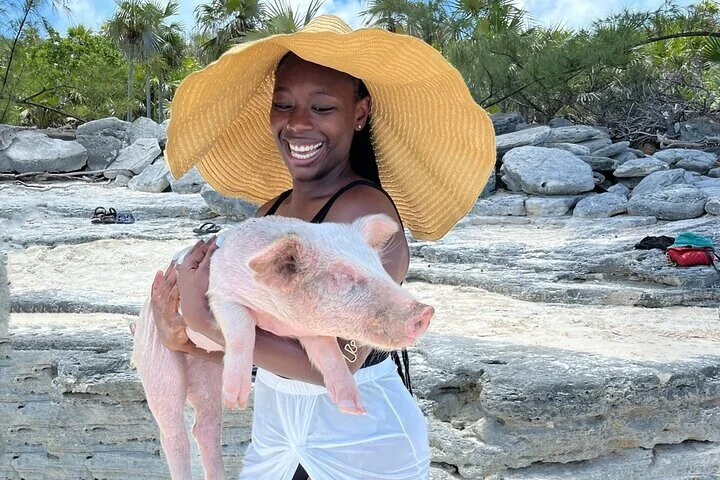 nassaubahamasswimmingwithpigs.jpg