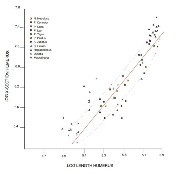 f0d4d078b5d0ab0dd8348898843e95fd.jpg