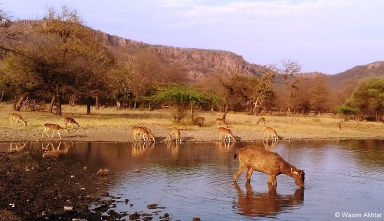 ranthamboretourpackage.jpg