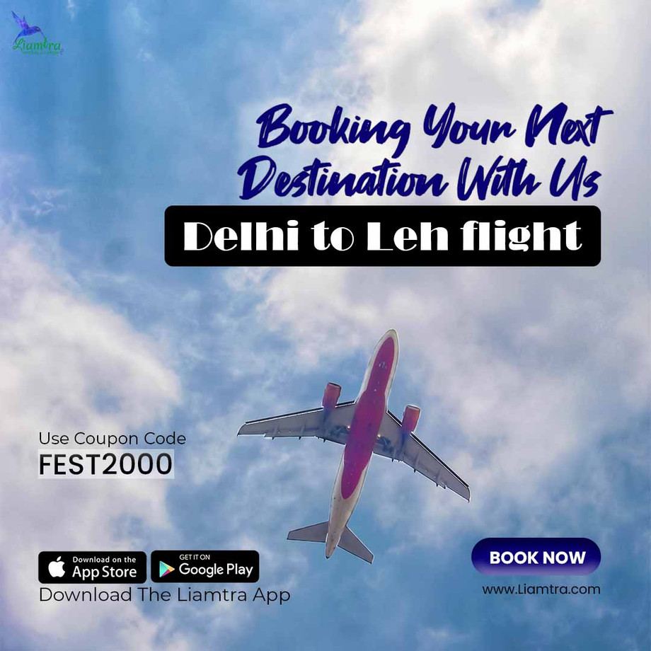 delhitolehflight.jpg