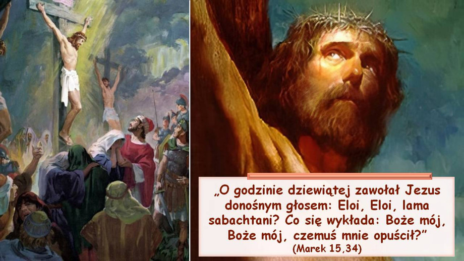 pl_vm2024t312.jpg