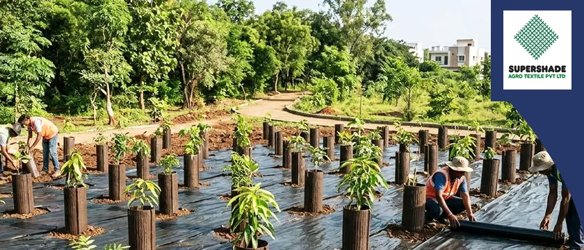 treeguardmanufacturerinindia.png