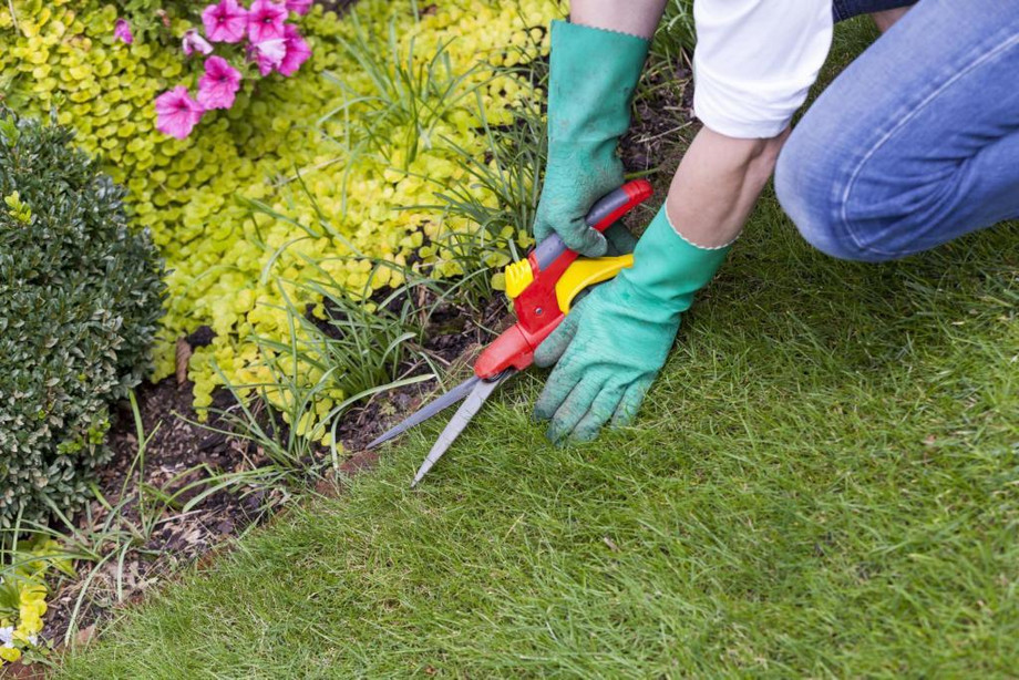 Butler-County-Landscaping-Services.jpg