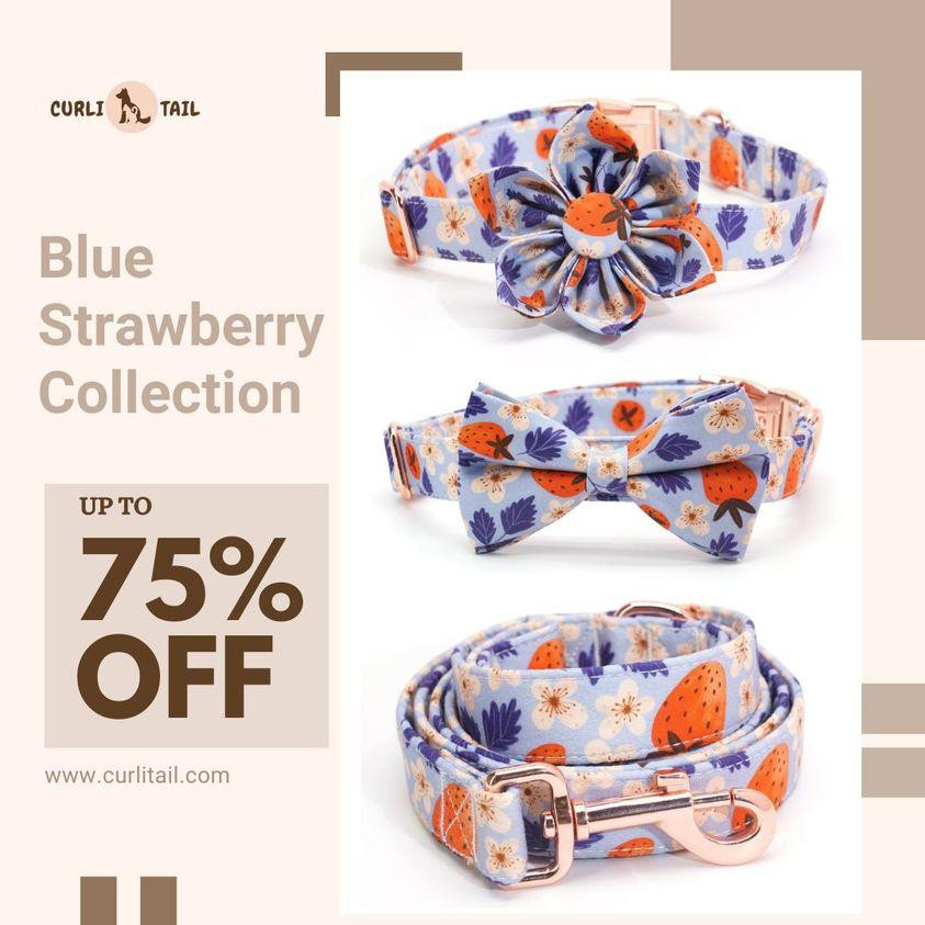 dogcollarsbluestrawberrycollectioncurlitail.jpg