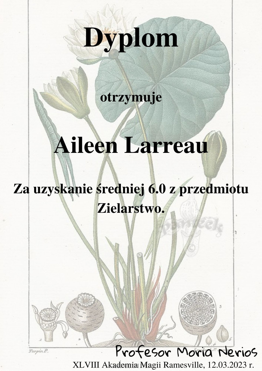 aileen.jpg