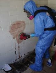 crimescenecleaners.jpg