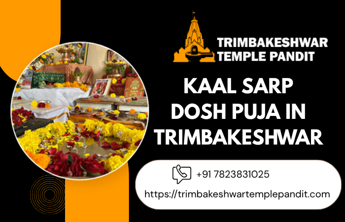kaalsarpdoshpujaintrimbakeshwar.png