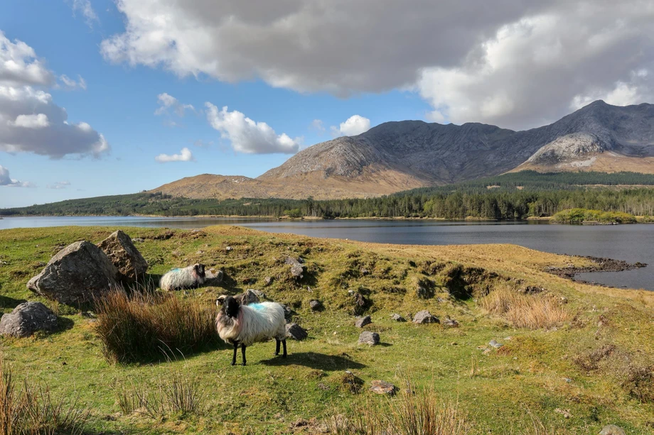 connemaracogalway_master21.webp