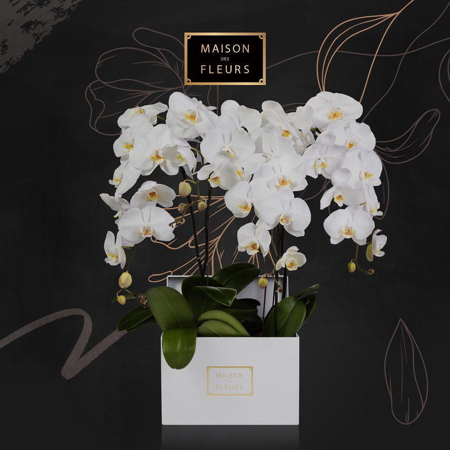 maisondesfleurs.jpeg