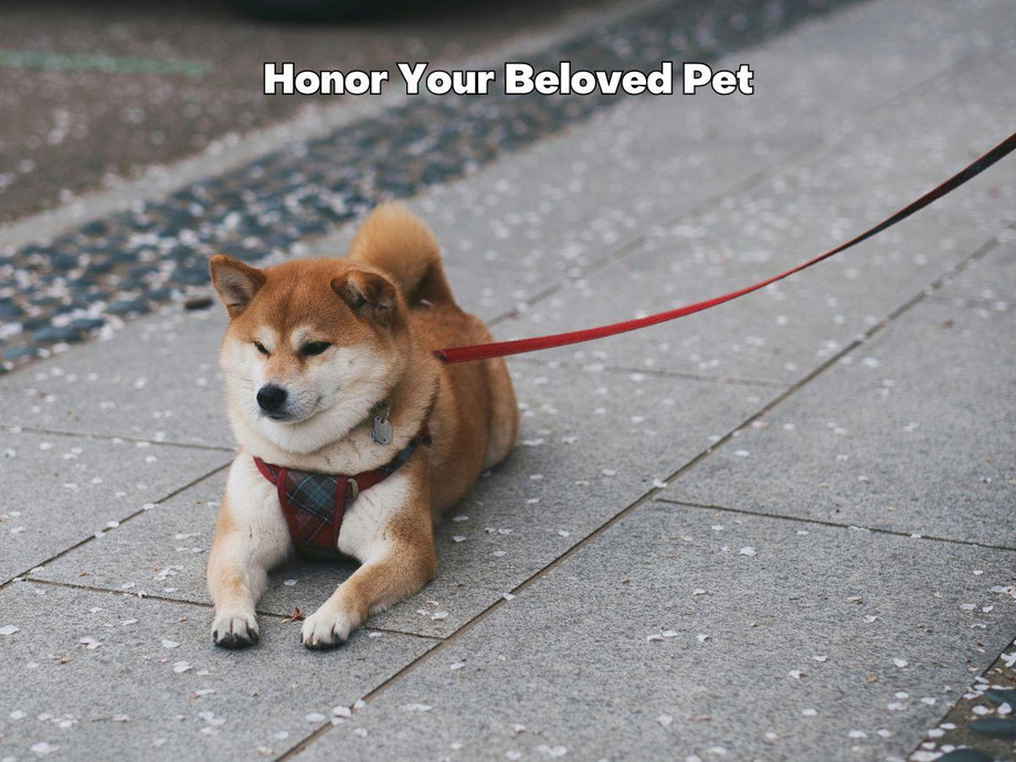 petmemorialideas2.jpg