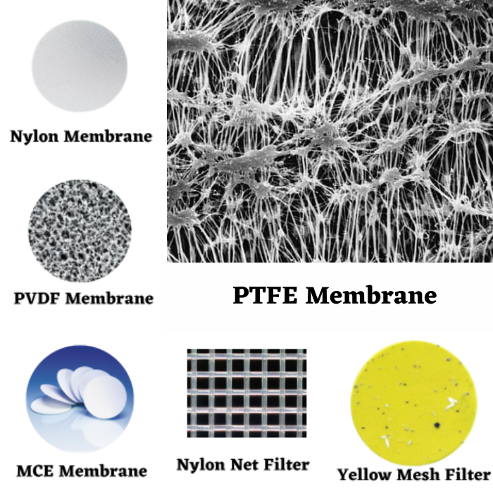 membrane.png
