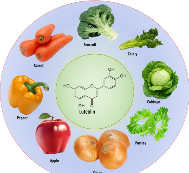luteolinfoods.png