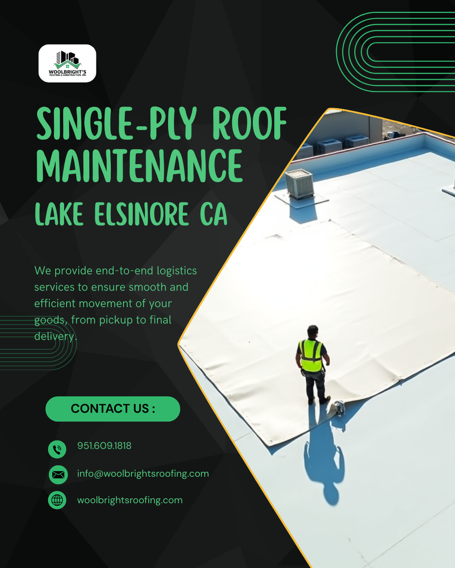 reliablesingleplyroofmaintenanceinlakeelsinoreca.png