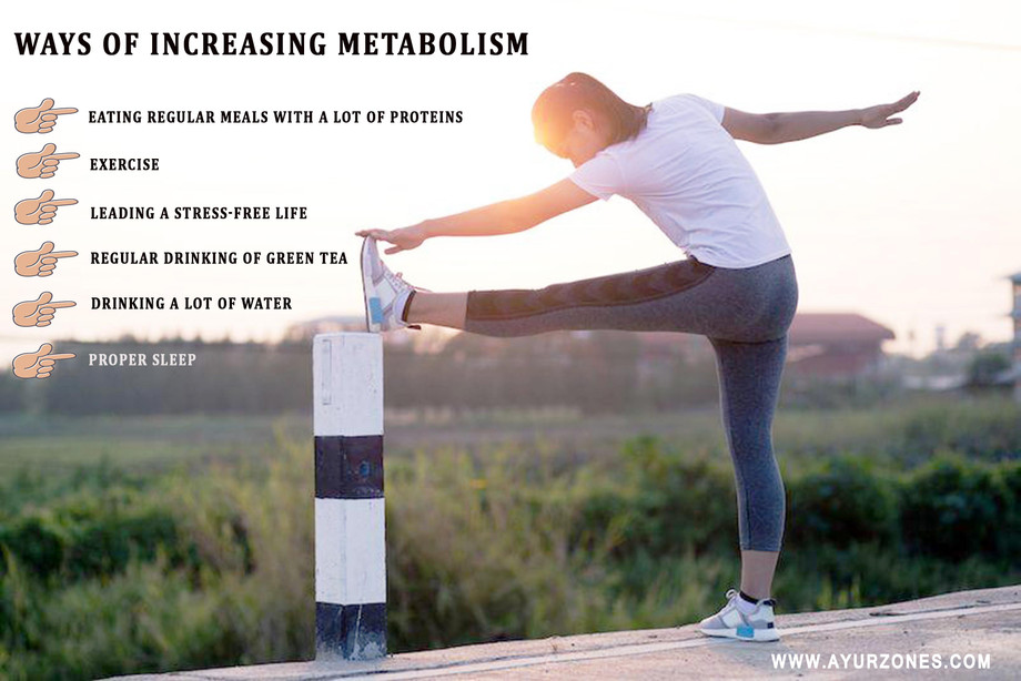 increasingmetabolism.jpg