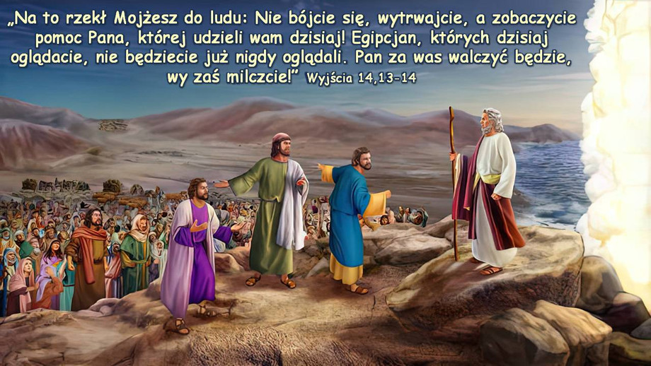 pl_vm2025t306.jpg