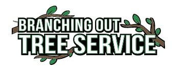 poormanstreeserviceremovalbybranchingout.jpg