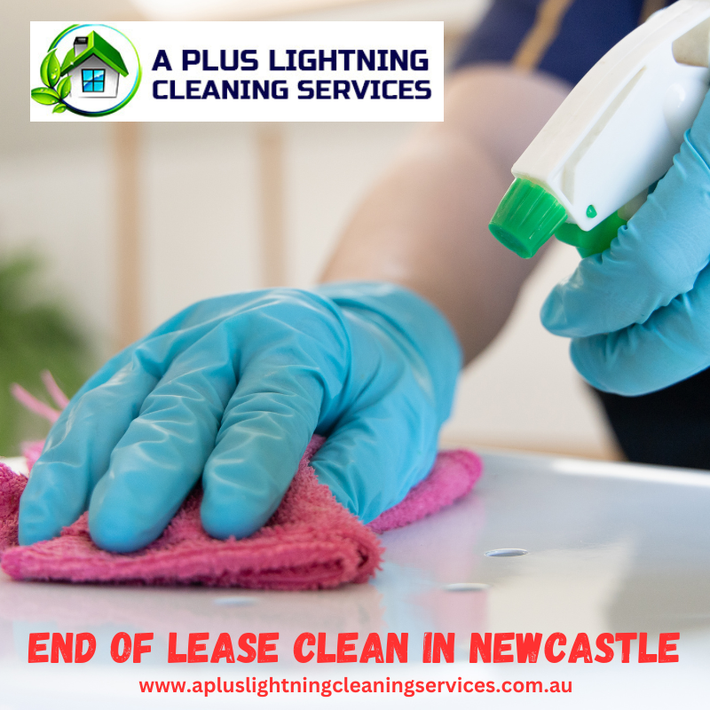 endofleasecleaninnewcastle.png