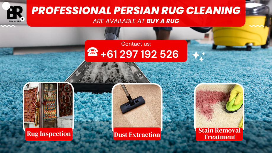 professional_persian_rug_cleaning_1eb1a26a0d7744dc9bd9e45ff2bb5fb3.png