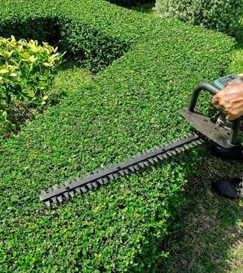 lawncareservice.jpg