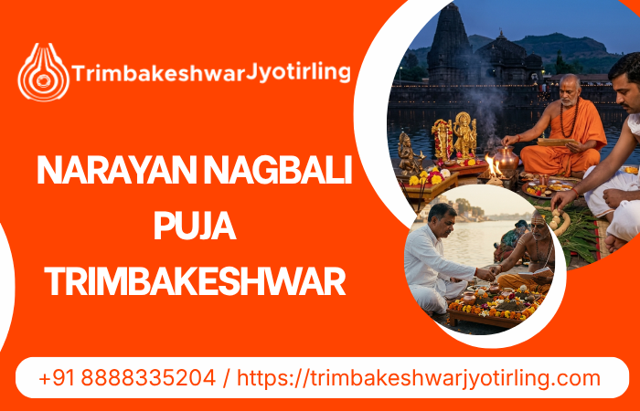 narayannagbalipujatrimbakeshwar.png