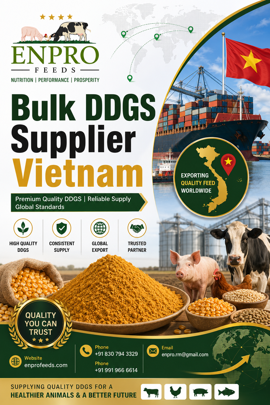 bulkddgssuppliervietnam.png