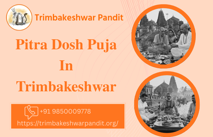 pitradoshpujaintrimbakeshwar.png