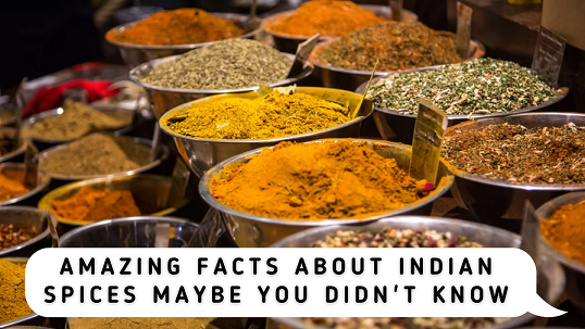 amazingfactsaboutindianspicesmaybeyoudidntknow.png