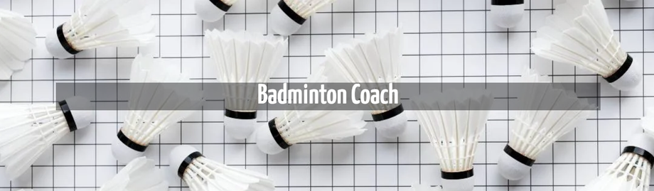 badmintoncoachsingapore.png