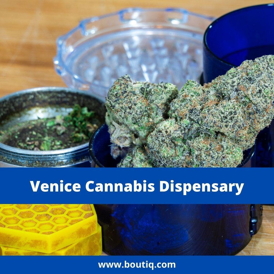venicecannabisdispensary.jpg