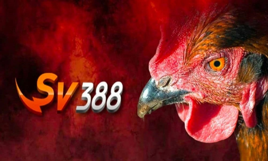 khuyenmaisv3881.jpg