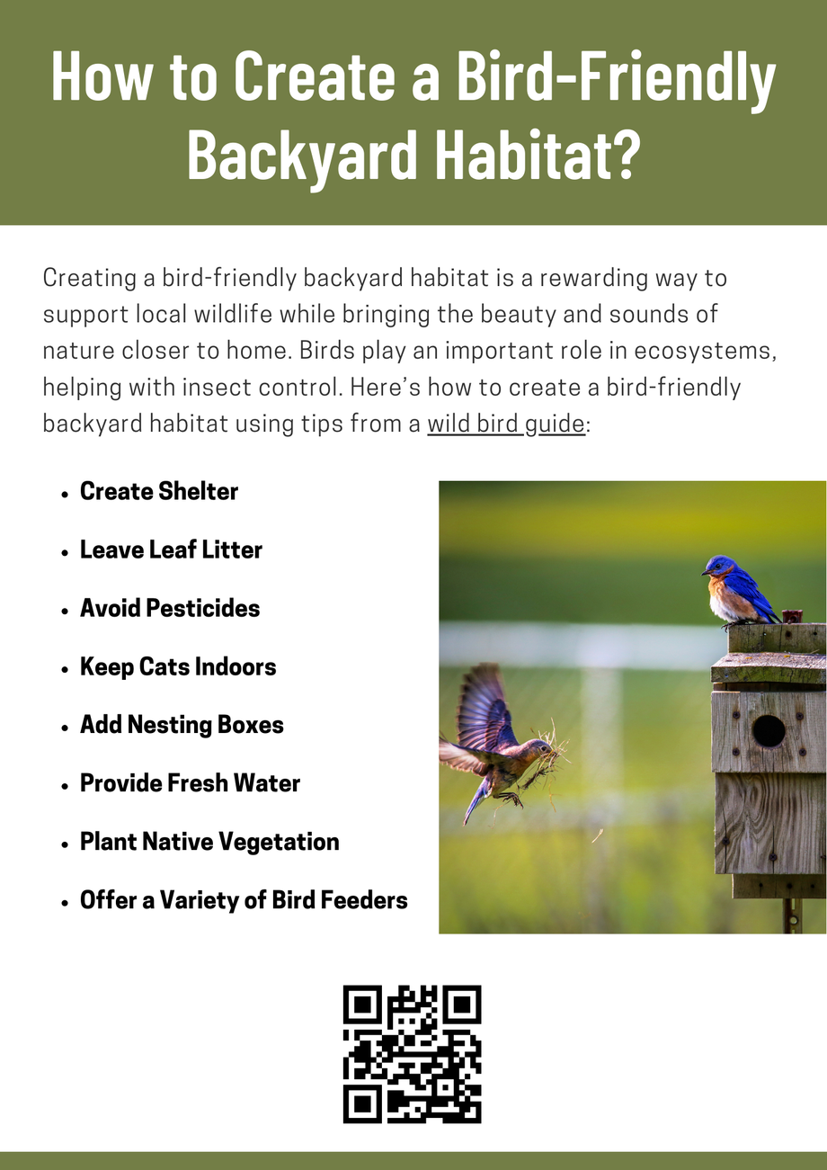 howtocreateabirdfriendlybackyardhabitat.png