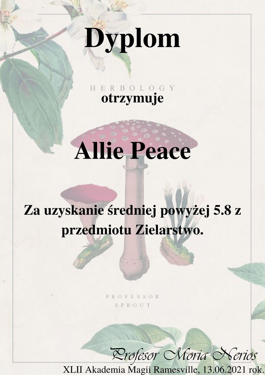 allie.jpg
