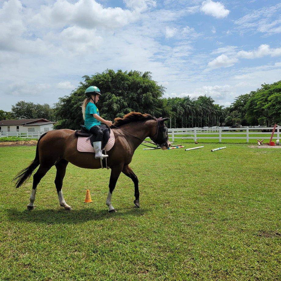 horsebackimg14.jpeg