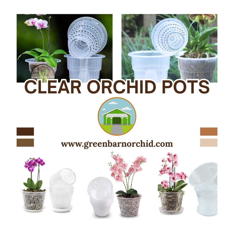 clearorchidpots2.jpg